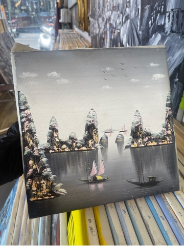 246 Hạ Long 30x30