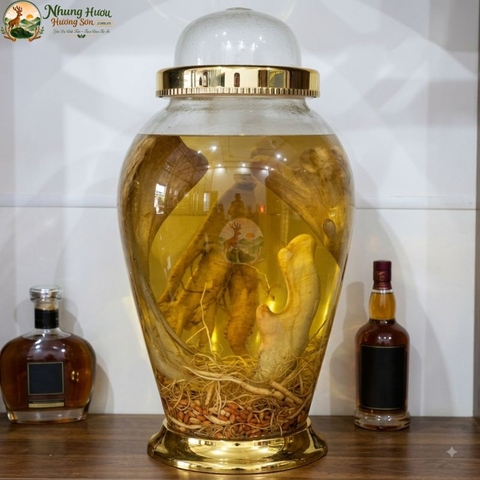 Nhung Hươu Ngâm Rượu