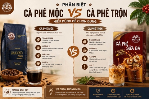 Phân biệt cà phê mộc và cà phê trộn: Checklist cho quán