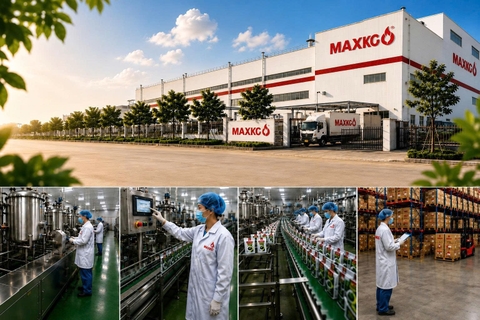 Hệ sinh thái Maxko Group hỗ trợ thương hiệu F&B từ ý tưởng đến vận hành