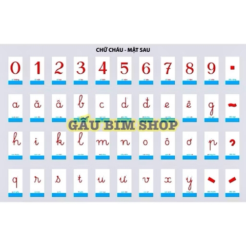 Bộ thẻ học chữ cái và số - CỠ NHỎ 5 x 9cm  - 44 thẻ dành cho cô và trò. Bộ thẻ Thông Minh nhận biết Chữ cái và Số