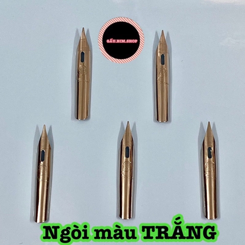 Combo 10 Ngòi bút lá tre Oguwen dùng cho bút 005 - Ngòi Calligraphy tách đôi tạo nét thanh nét đậm