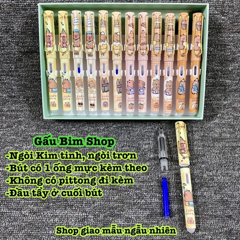 Bút máy (bút mực) ngòi Kim Tinh trơn dùng được cả mực lọ và ống mực tẩy