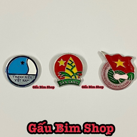 Huy Hiệu Đoàn - Đội - Thanh niên cài áo