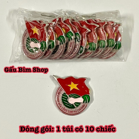Huy Hiệu Đoàn - Đội - Thanh niên cài áo