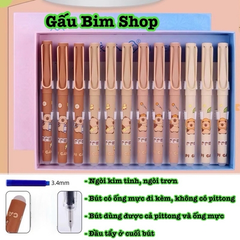 Bút máy (bút mực) ngòi Kim Tinh trơn dùng được cả mực lọ và ống mực tẩy