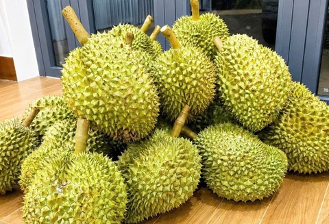 Sầu riêng Việt Nam Loại 1 (giá theo kg)