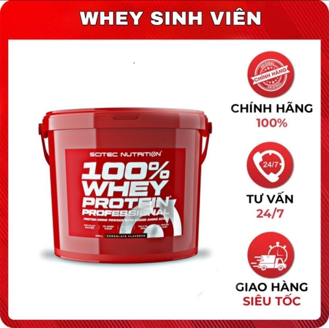Scitec Nutrition 100% Whey Protein Professional (5 kg)