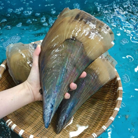 Bàn Mai