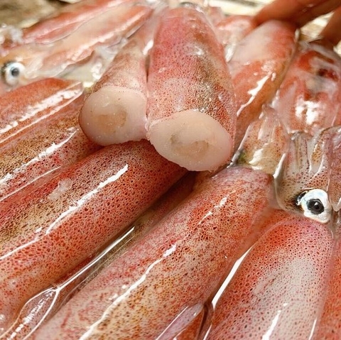Mực Trứng