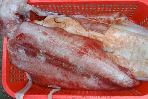 Mực Lá (6-8 Con)