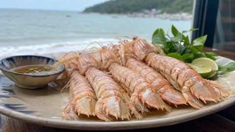 Bề bề Đồ Sơn: Cách ăn, chọn món và lưu ý
