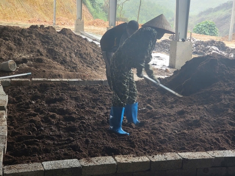 Nghiên cứu tiềm năng khai thác phụ phẩm chăn nuôi và trồng trọt tại Bắc Ninh để sản xuất phân bón vi sinh hữu cơ và phát triển thị trường tiêu thụ