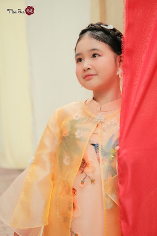 Áo dài Tiểu Hồ Điệp