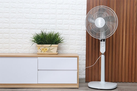 Quạt cây hay quạt trần tốn điện hơn? Khi nào nên dùng quạt cây và khi nào nên dùng quạt trần?