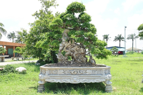 Giá trị của một tác phẩm bonsai không chỉ nằm ở tuổi cây