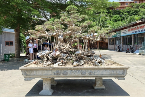 Sanh HH-00133