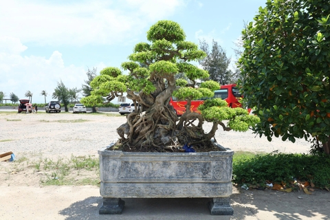 Sanh HH-0070