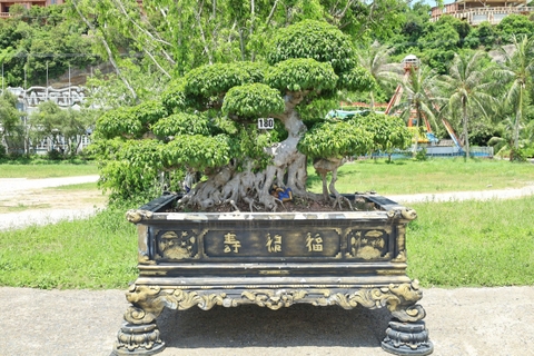 Sanh HH-00180