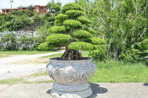 Sanh HH-0038