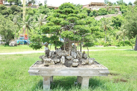 Sanh HH-0063
