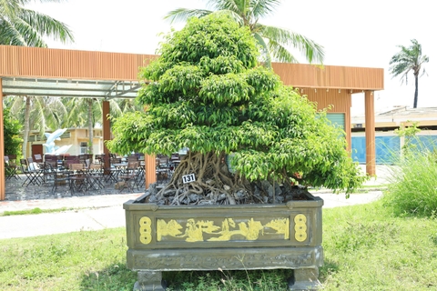 Sanh HH-00131