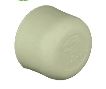 TP Tiền Phong  đầu bịt 40 PPR