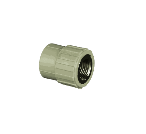 Tiền phong Nối ren trong 25 - 3/4 PPR ( lỗ ren to nlmt )ms