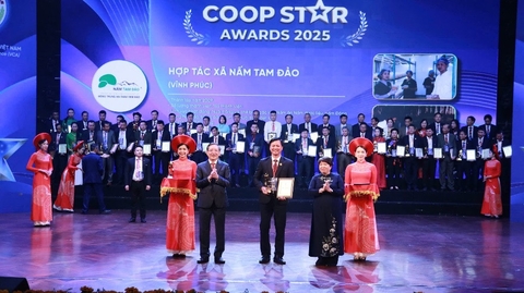 Từ công nghệ đến sinh kế bền vững: Câu chuyện của Hợp tác xã Nấm Tam Đảo