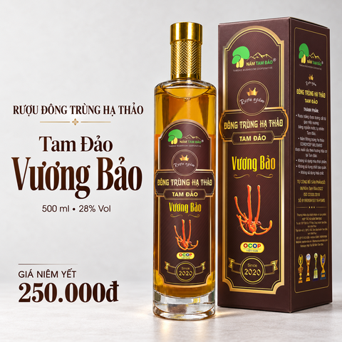 Rượu đông trùng hạ thảo Tam Đảo Vương Bảo