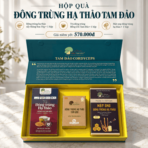 HỘP QUÀ ĐÔNG TRÙNG HẠ THẢO TAM ĐẢO – BỘ 3 SẢN PHẨM