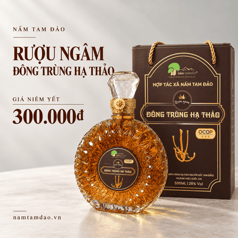 RƯỢU NGÂM ĐÔNG TRÙNG HẠ THẢO TAM ĐẢO – CHAI 500ML