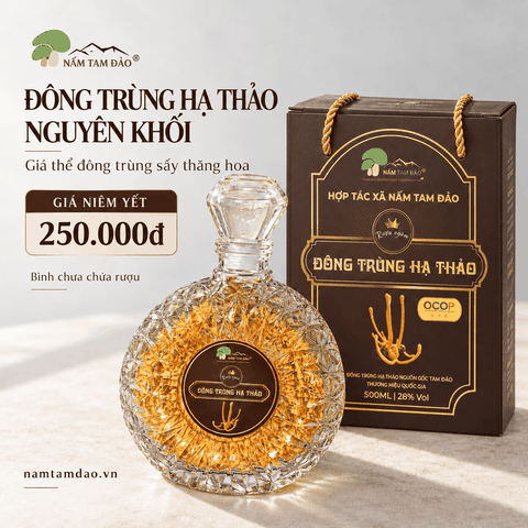BÌNH ĐÔNG TRÙNG HẠ THẢO NGUYÊN KHỐI TAM ĐẢO