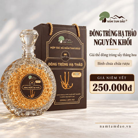 BÌNH ĐÔNG TRÙNG HẠ THẢO NGUYÊN KHỐI TAM ĐẢO