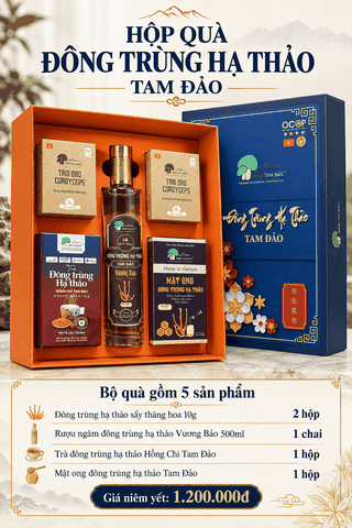 HỘP QUÀ ĐÔNG TRÙNG HẠ THẢO TAM ĐẢO – BỘ 5 SẢN PHẨM