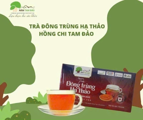 Trà Đông Trùng Hạ Thảo Hồng Chi Tam Đảo (Hộp 25 gói x 25gam) - Phú Thọ
