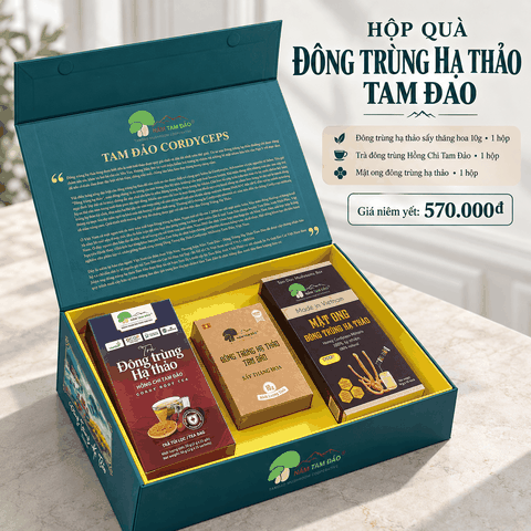 HỘP QUÀ ĐÔNG TRÙNG HẠ THẢO TAM ĐẢO – BỘ 3 SẢN PHẨM