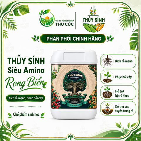 SIÊU AMINO RONG BIỂN THỦY SÍNH 4KG – KÍCH RỄ, PHỤC HỒI CÂY, DƯỠNG CÂY KHỎE