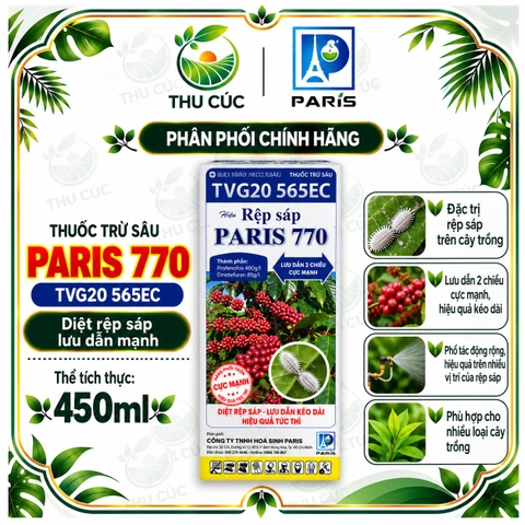 Paris 770 – Thuốc Trừ Sâu Rệp Sáp Cà Phê, Lưu Dẫn Hai Chiều