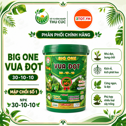 BIG ONE Vua Đọt 30-10-10 – Kích Đọt, Bung Chồi, Phục Hồi Cây