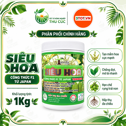 SIÊU HOA TANOFA – TẠO MẦM HOA, PHÂN HÓA MẦM MẠNH, HOA RA TẬP TRUNG