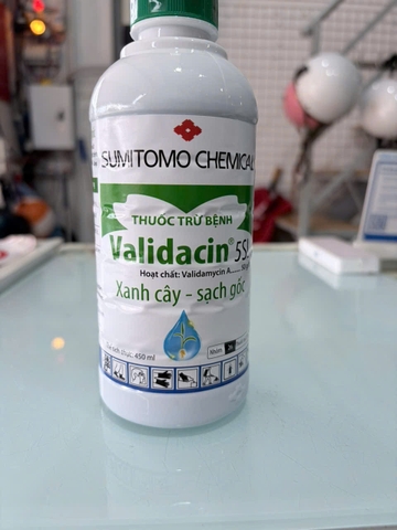 Validacin 5SL 450ml – Thuốc Trừ Bệnh Khô Vằn, Đổ Ngã Cây Con, Mốc Hồng