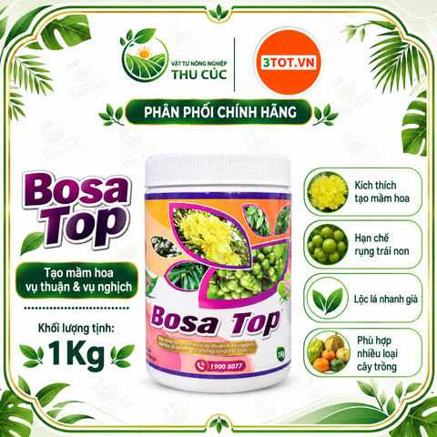BOSA TOP – TẠO MẦM HOA, DÌU ĐỌT, GIÀ LÁ, HỖ TRỢ LÀM BÔNG
