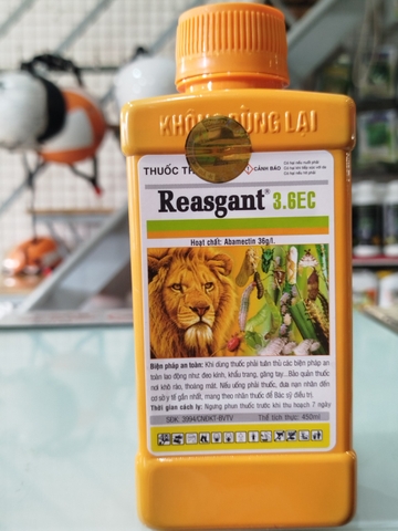 REASGANT 3.6EC – Thuốc trừ sâu chứa Abamectin 36 g/L