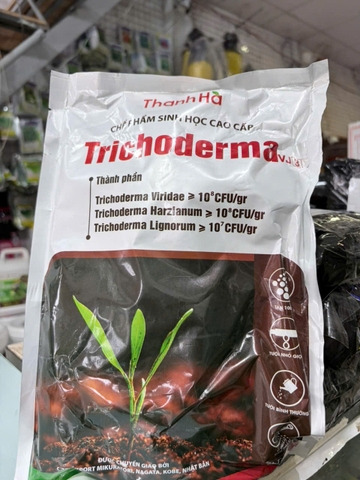 Trichoderma VJ3 Thanh Hà – Nấm 3 Chủng Cải Tạo Đất, Ủ Phân, Phân Giải Hữu Cơ