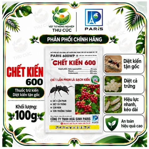 CHẾT KIẾN 600 – PARIS 600WP 100G – CHẾ PHẨM KIỂM SOÁT KIẾN, CÔN TRÙNG GIA DỤNG