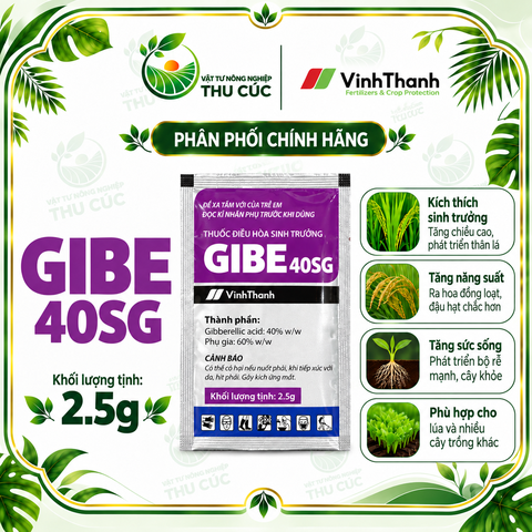 GIBE 40SG 2,5G – GIBBERELLIC ACID 40% ĐIỀU HÒA SINH TRƯỞNG CHO THANH LONG