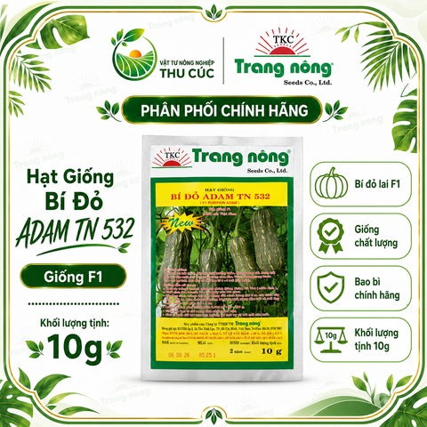 HẠT GIỐNG BÍ ĐỎ ADAM TN 532 TRANG NÔNG 10G – GIỐNG F1, TRÁI ĐẶC RUỘT, THỊT DÀY