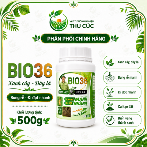 BIO36 ALP Humate 500g – Humic 70%, Kích Rễ, Phục Hồi Cây, Cải Tạo Đất