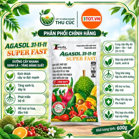 AGASOL 31-11-11 SUPER FAST – ĐÂM CHỒI, PHÁT ĐỌT, XANH DÀY BỘ LÁ